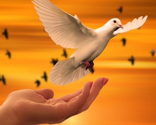 Loslassen